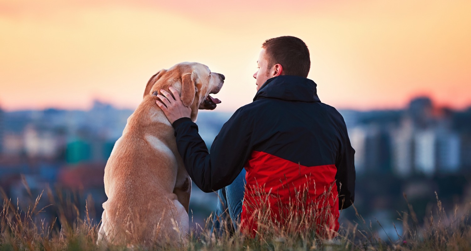 Learn how much CBD oil to give your dog with our easy guide. Discover the right dosage for your pet's size, condition, and overall well-being.